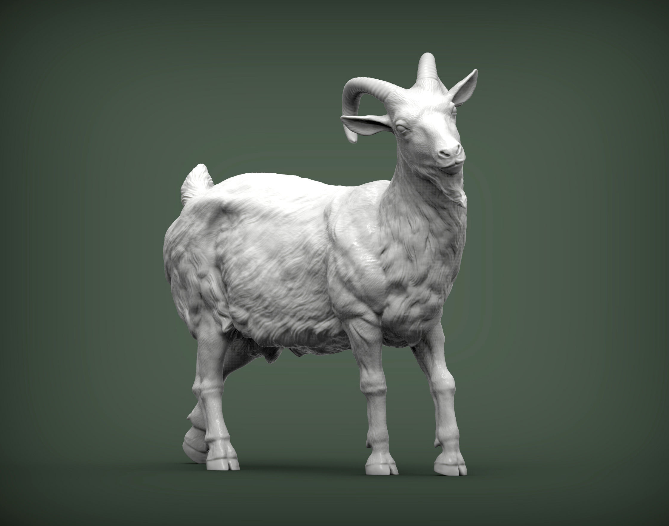 Goat 3D print model 3D print model_5