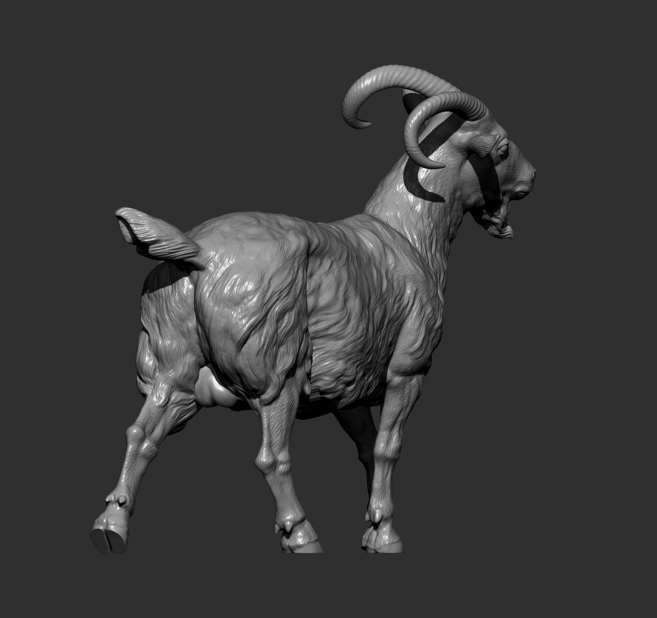 Goat 3D print model 3D print model_12