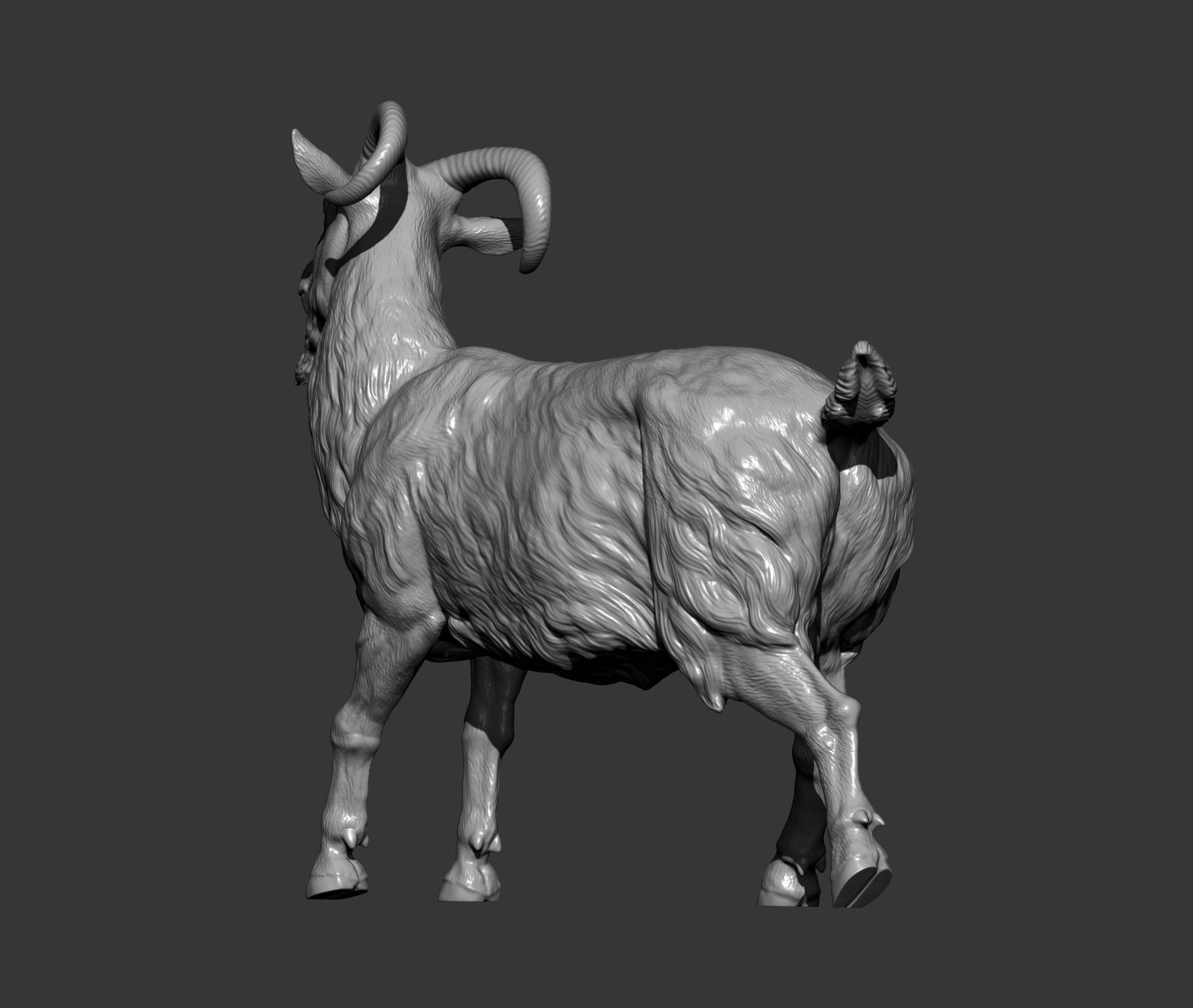 Goat 3D print model 3D print model_7