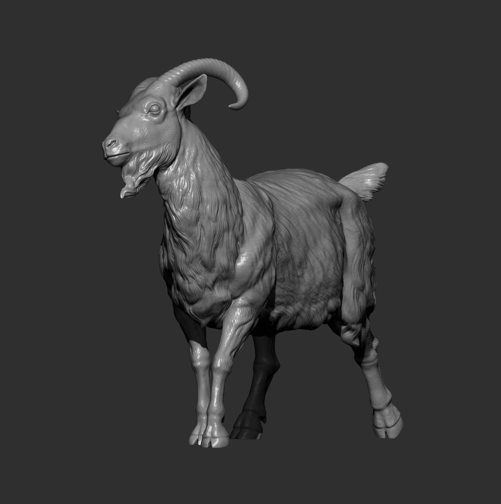 Goat 3D print model 3D print model_9