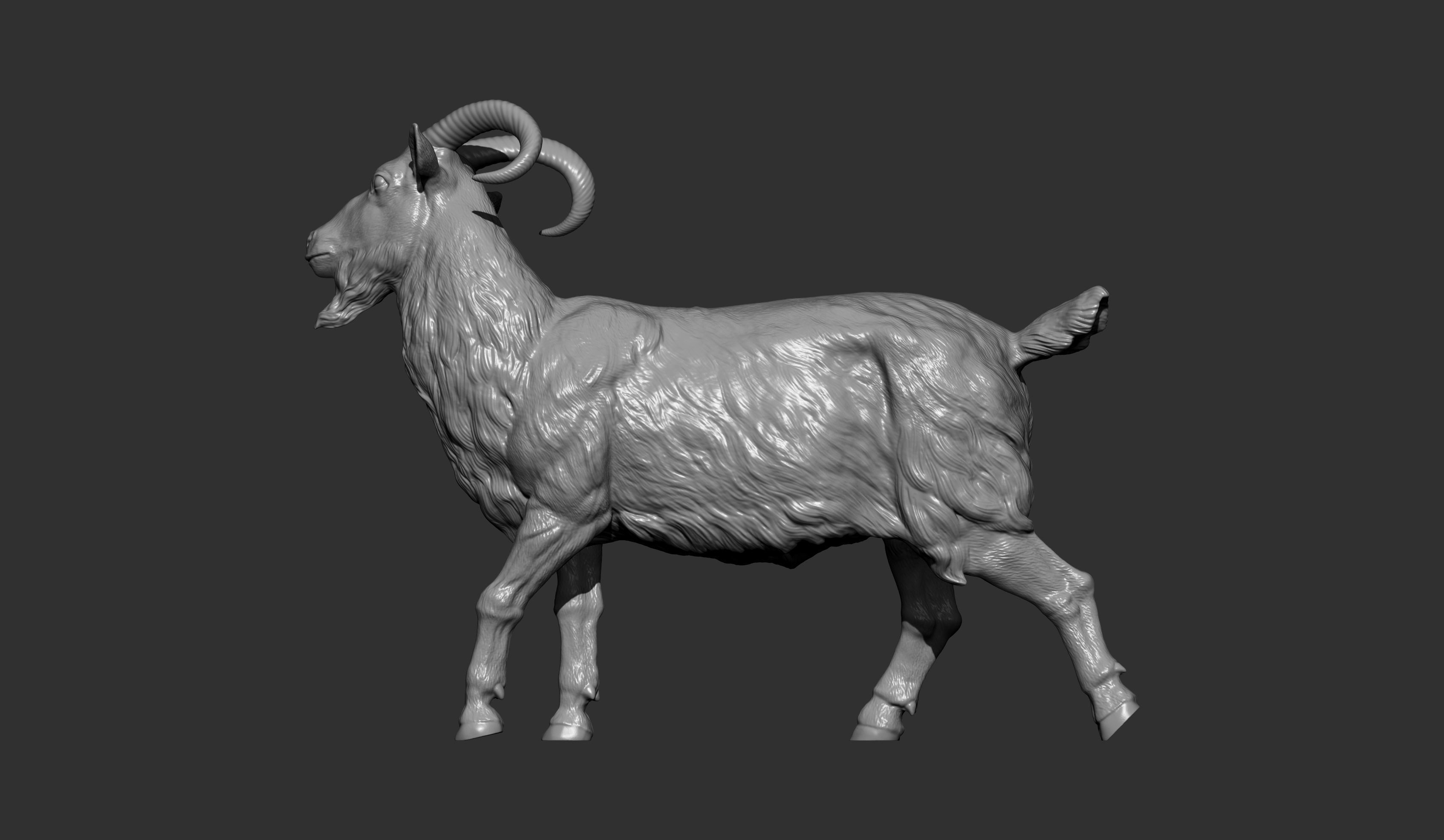 Goat 3D print model 3D print model_8