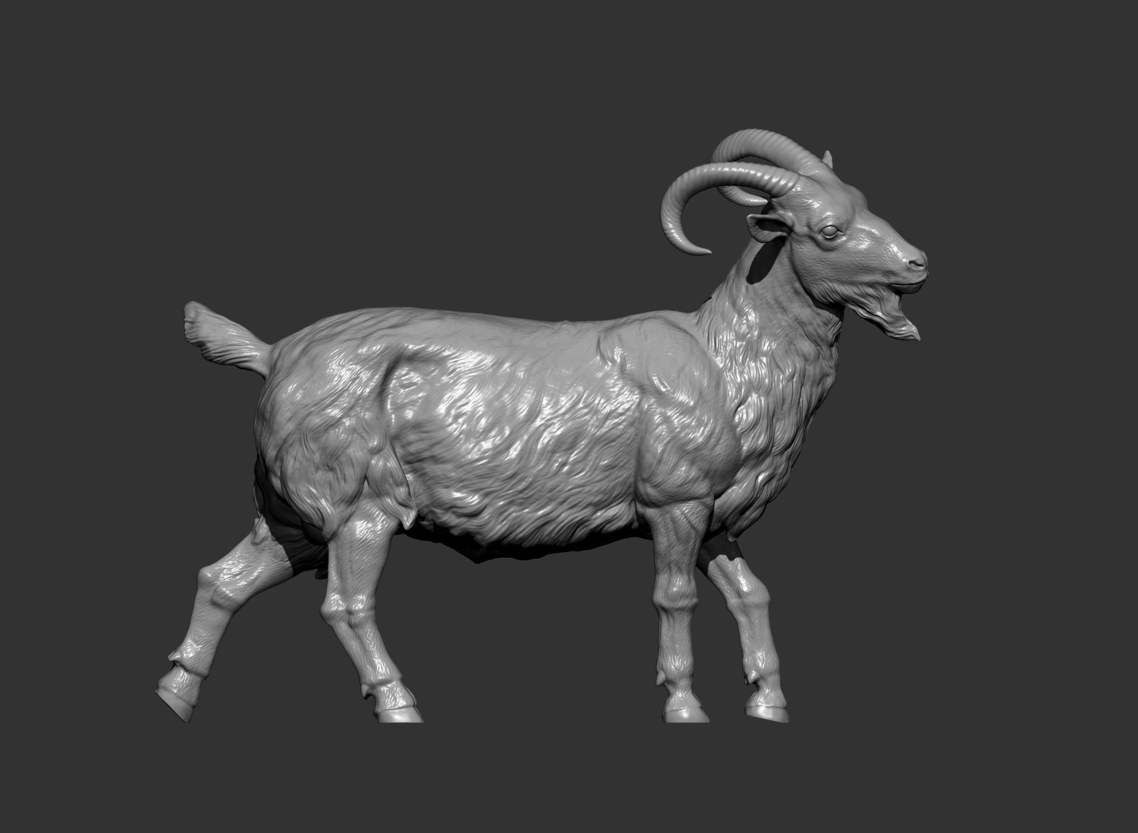 Goat 3D print model 3D print model_6