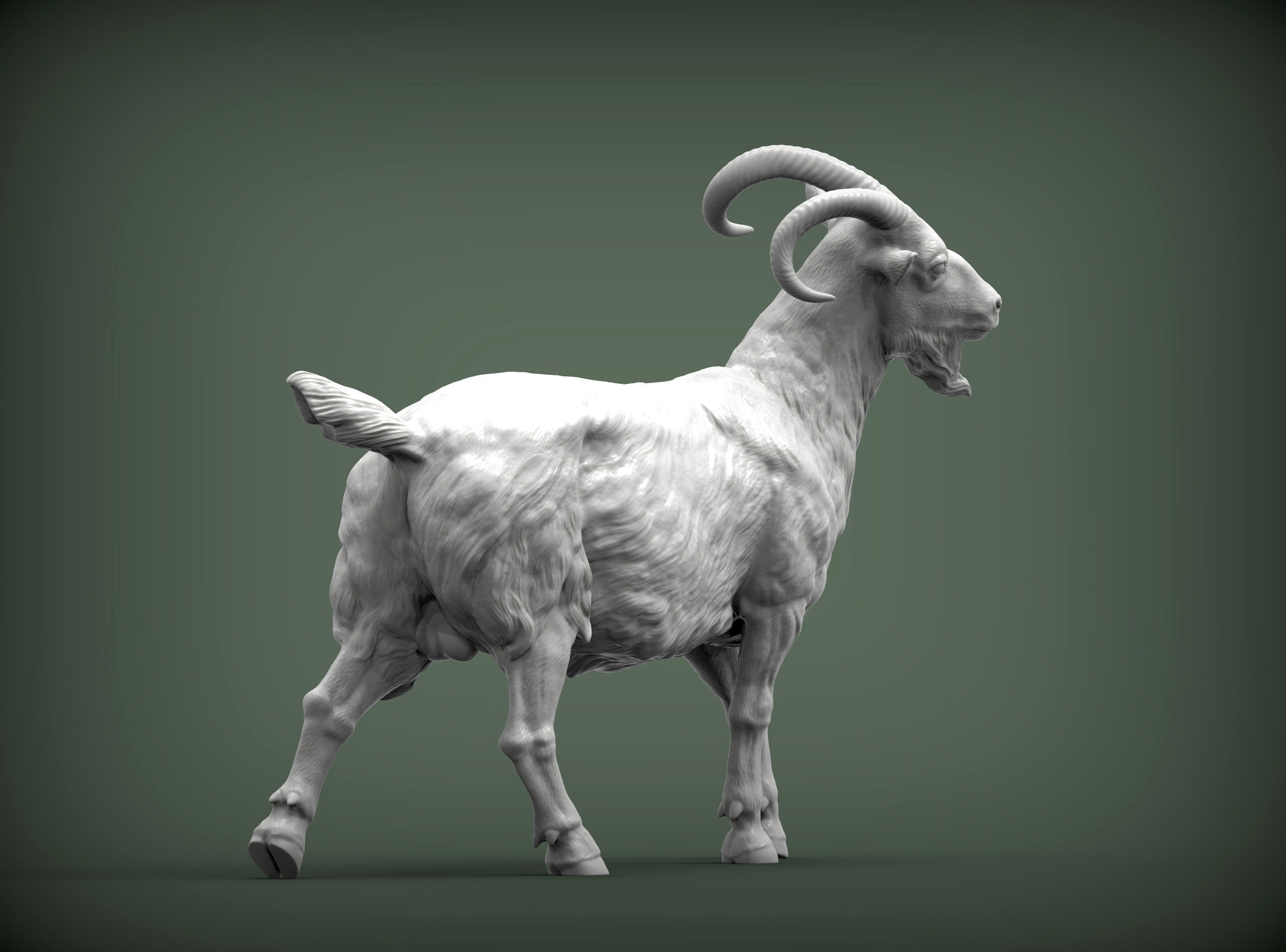 Goat 3D print model 3D print model_4