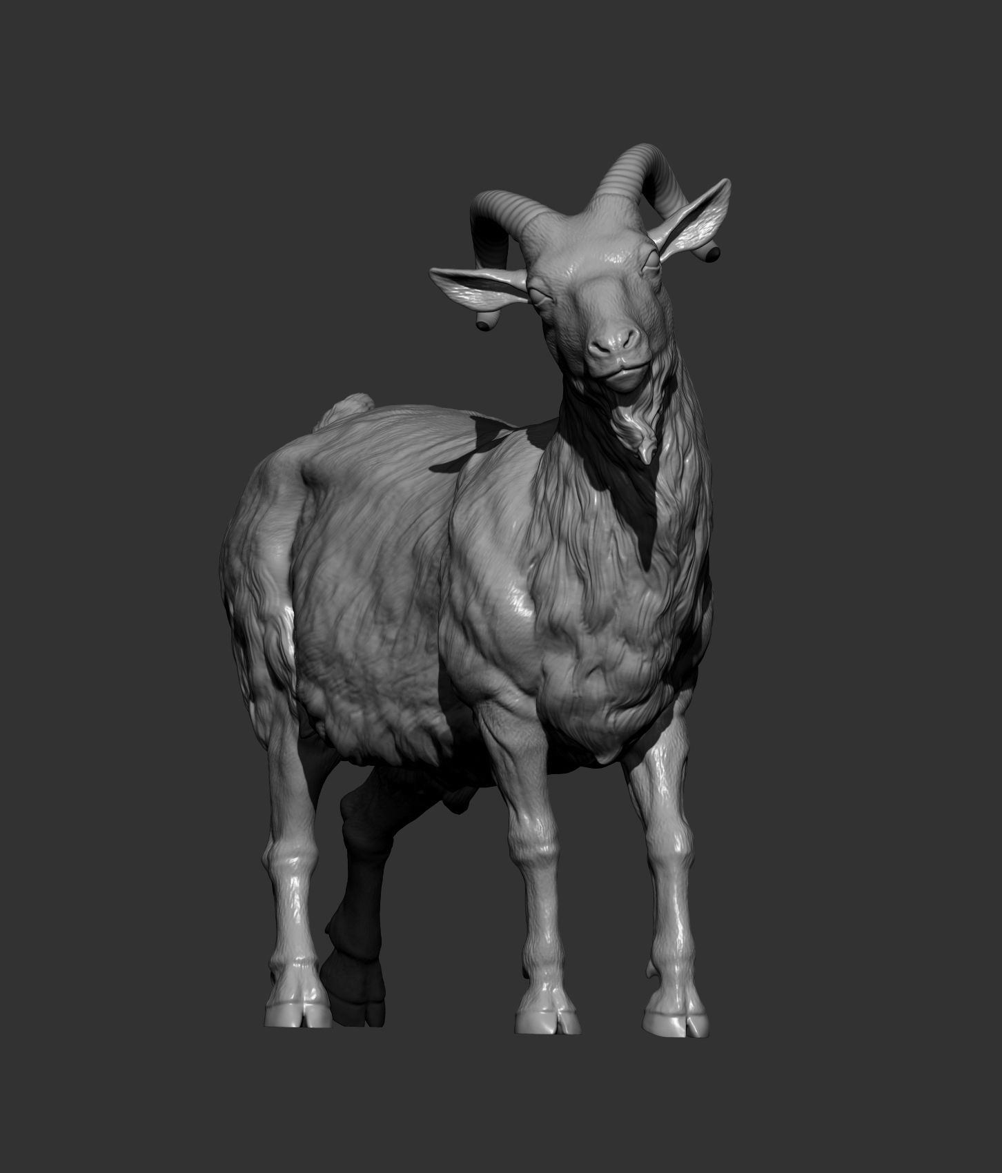 Goat 3D print model 3D print model_10