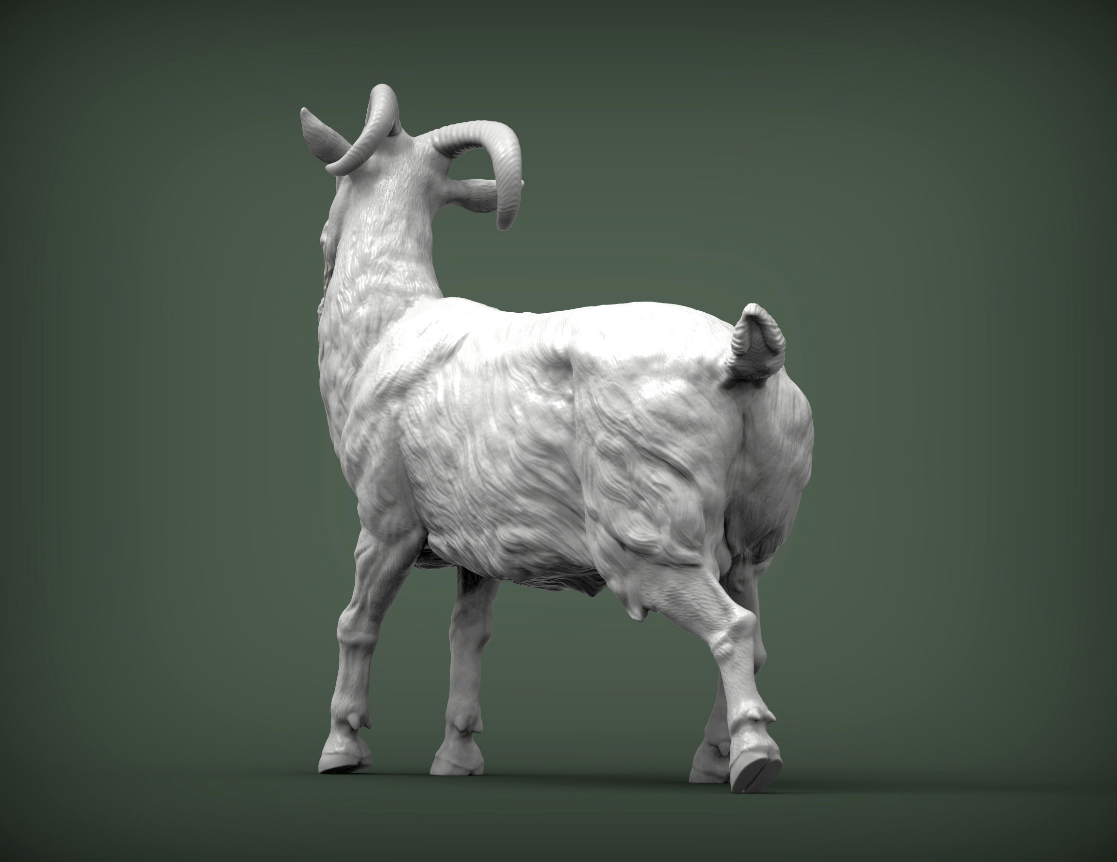 Goat 3D print model 3D print model_2