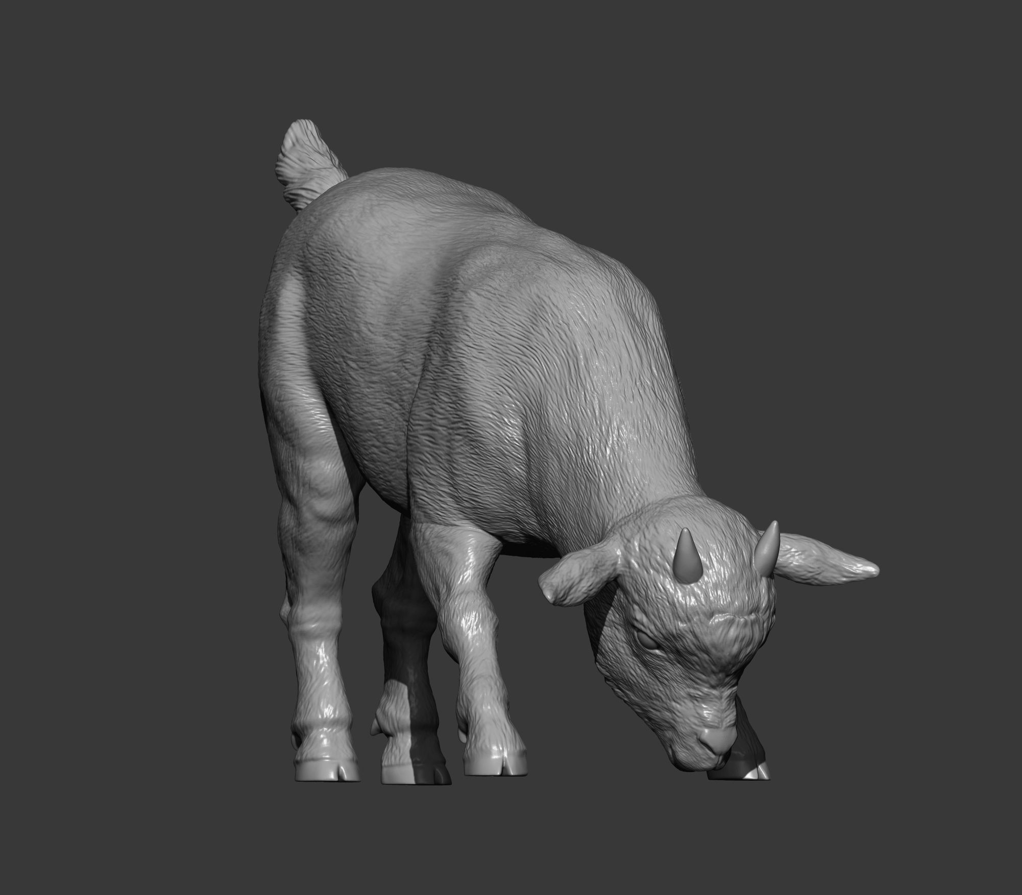   Goatling  eats 3D print model_8