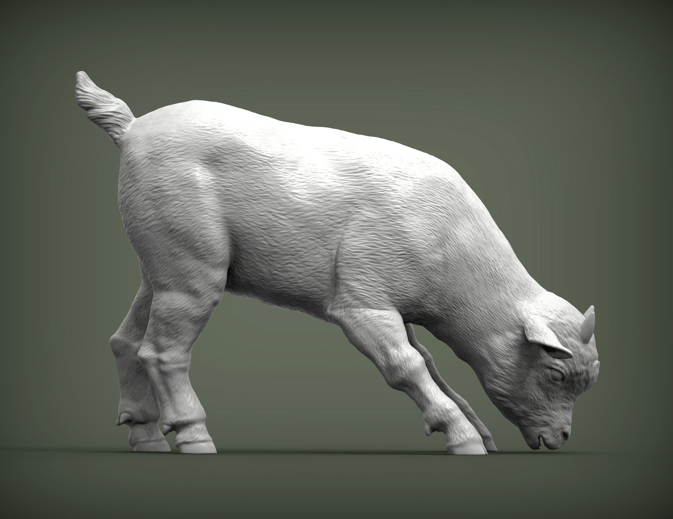   Goatling  eats 3D print model_4