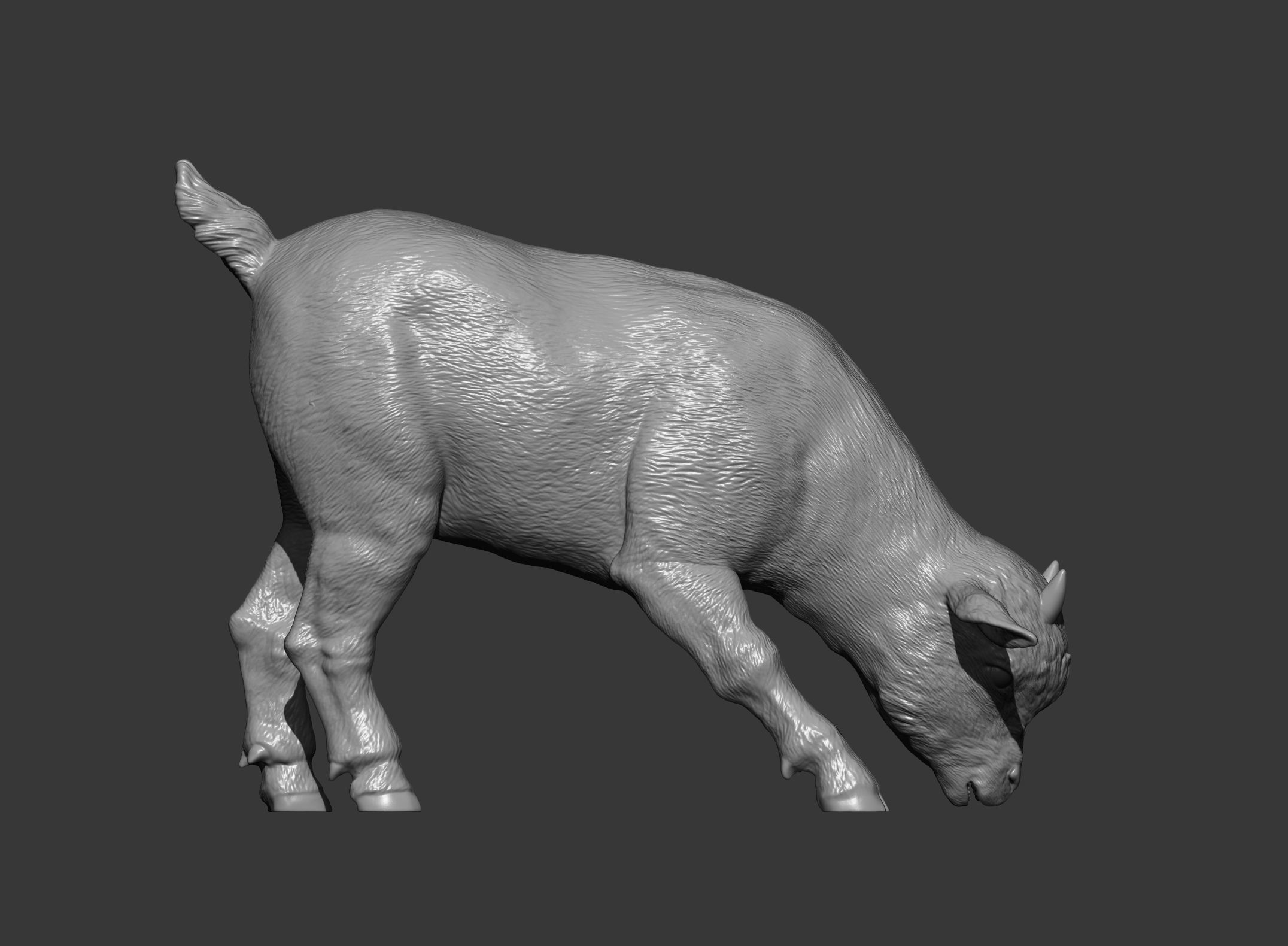   Goatling  eats 3D print model_11