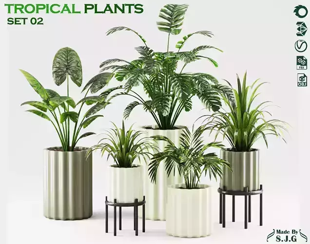 indoor plants collection of tropical plants set 02
