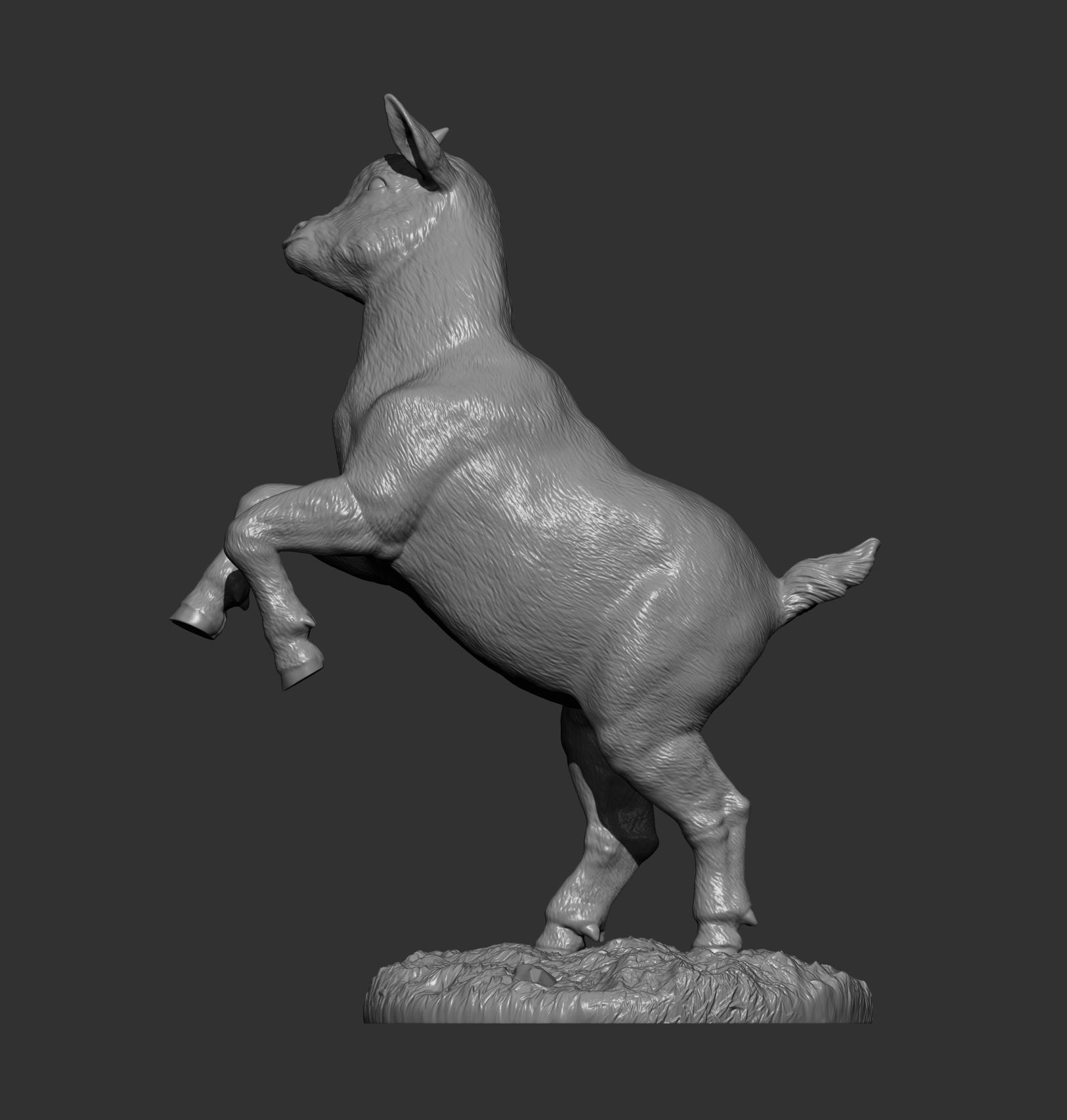 A goatling on its hind legs 3D print model_12