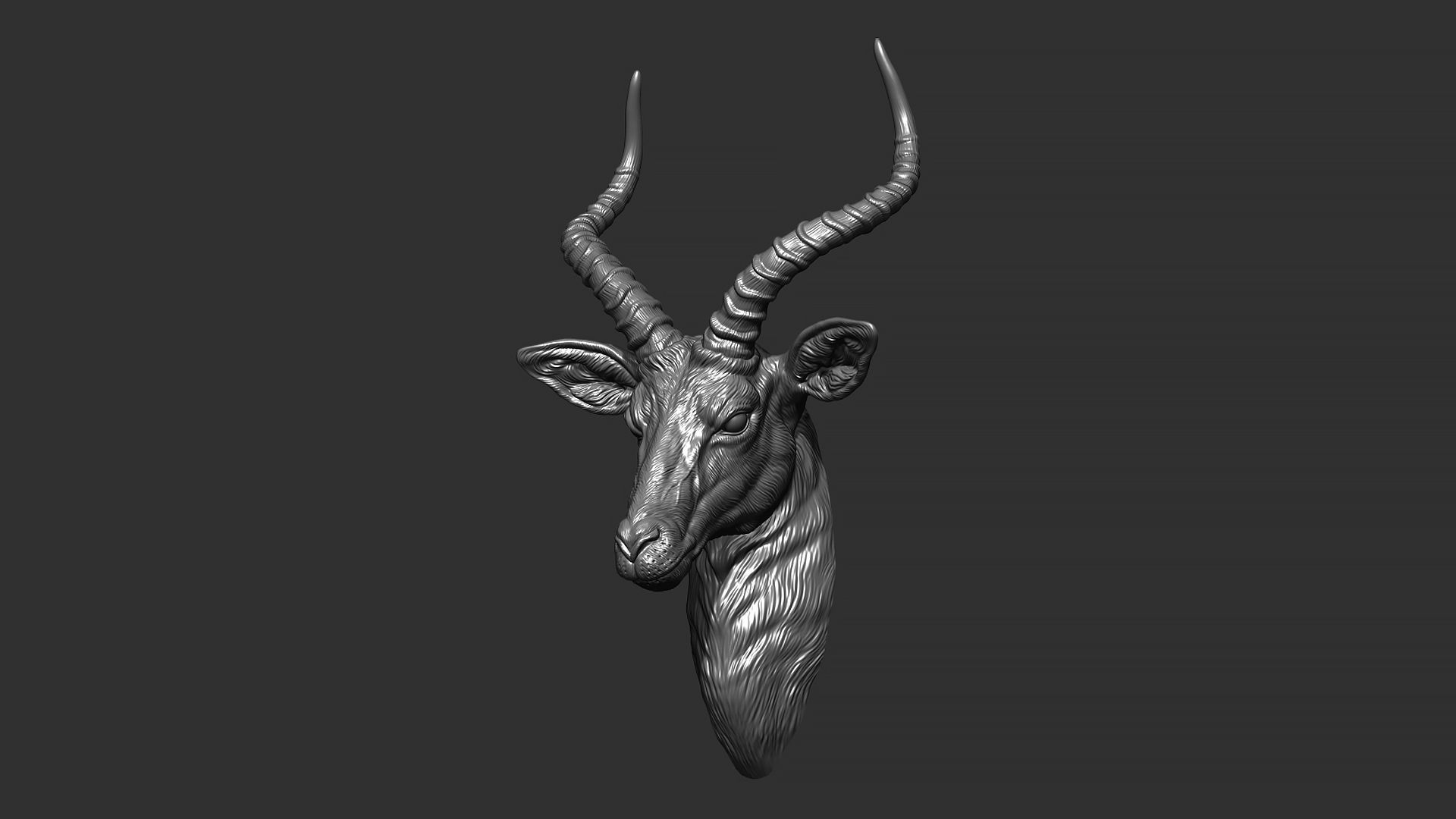 Impala Antelope head gloomy 3D print model_12
