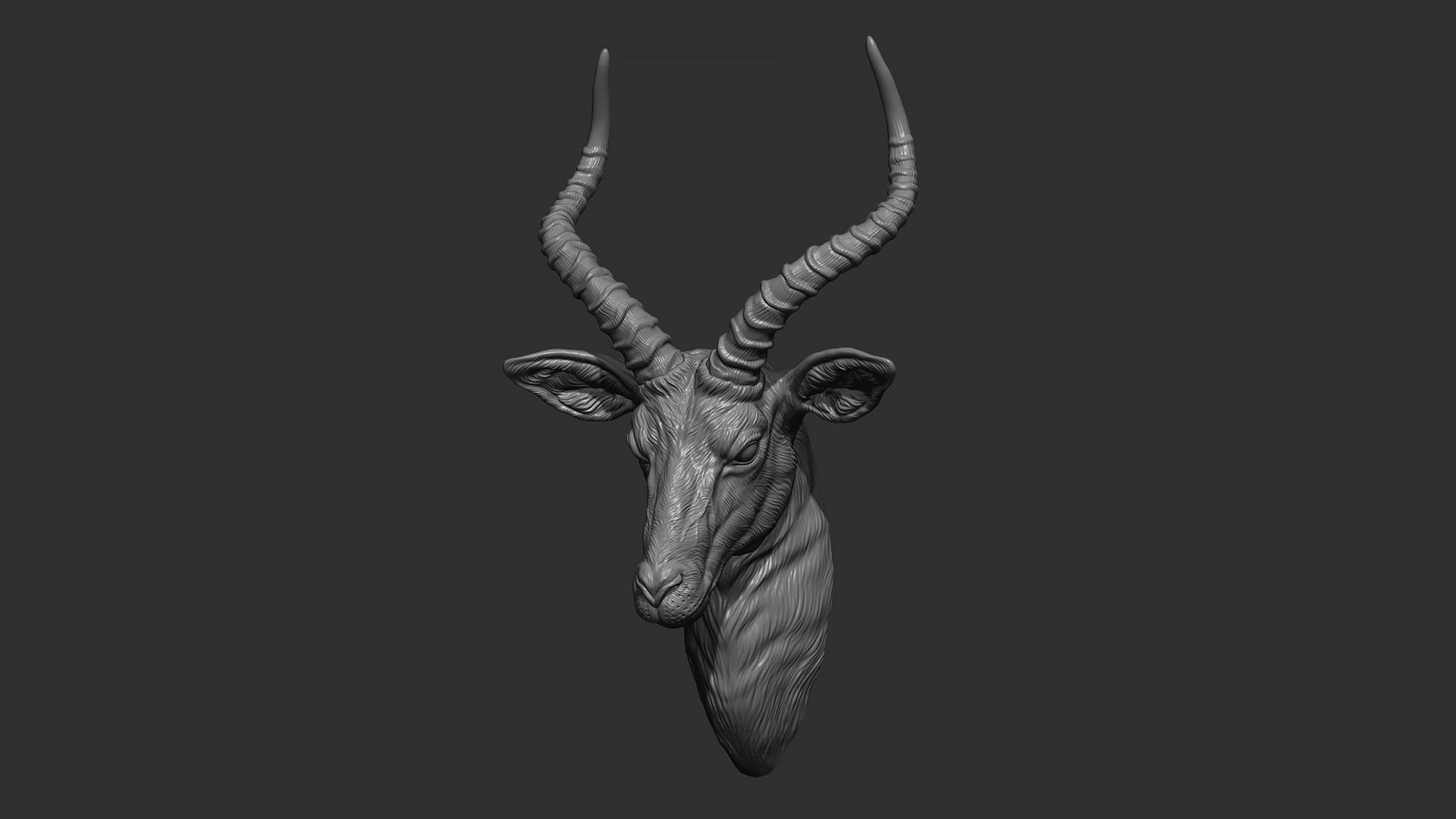 Impala Antelope head gloomy 3D print model_15