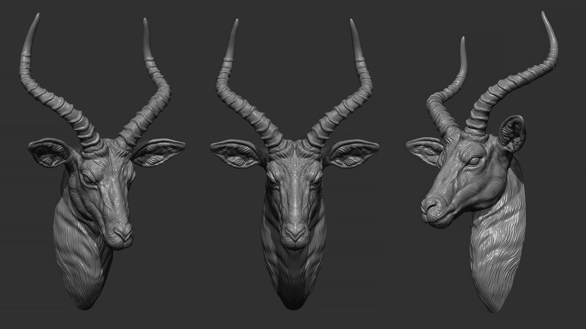 Impala Antelope head gloomy 3D print model_1