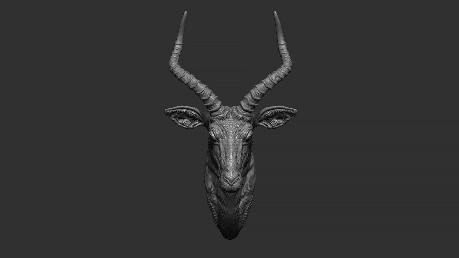 Impala Antelope head gloomy 3D print model_14