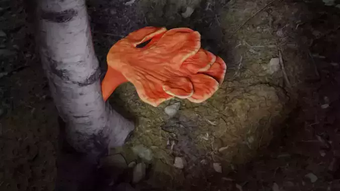 Low Poly Laetiporus fungus