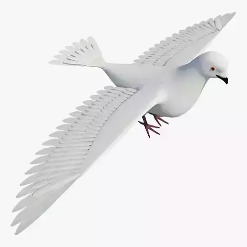 Dove 3D T Posed Printable Ready for Rigging 3D model