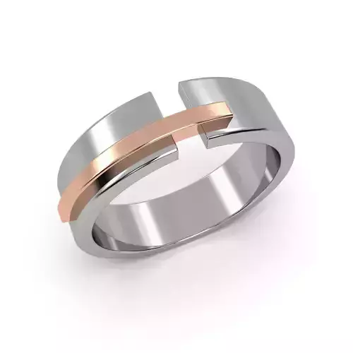 2 Wedding Ring 