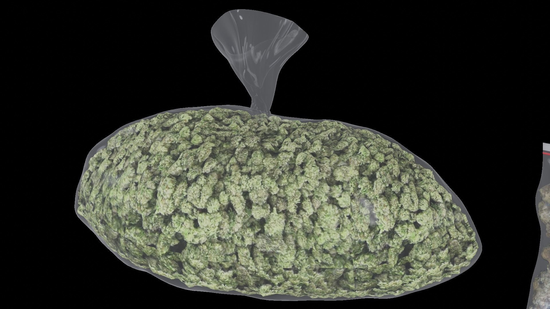 Drugs Variety Pack Low-poly 3D model_10