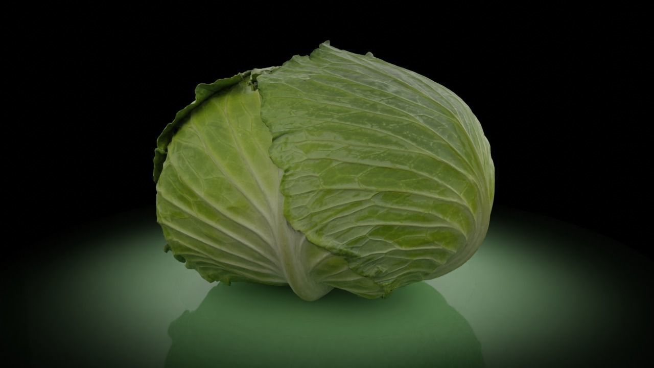 Cabbage 3D model Low-poly 3D model_2