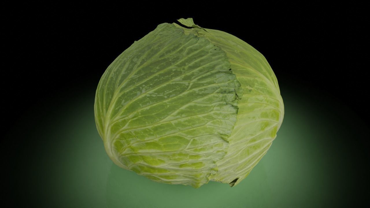 Cabbage 3D model Low-poly 3D model_1