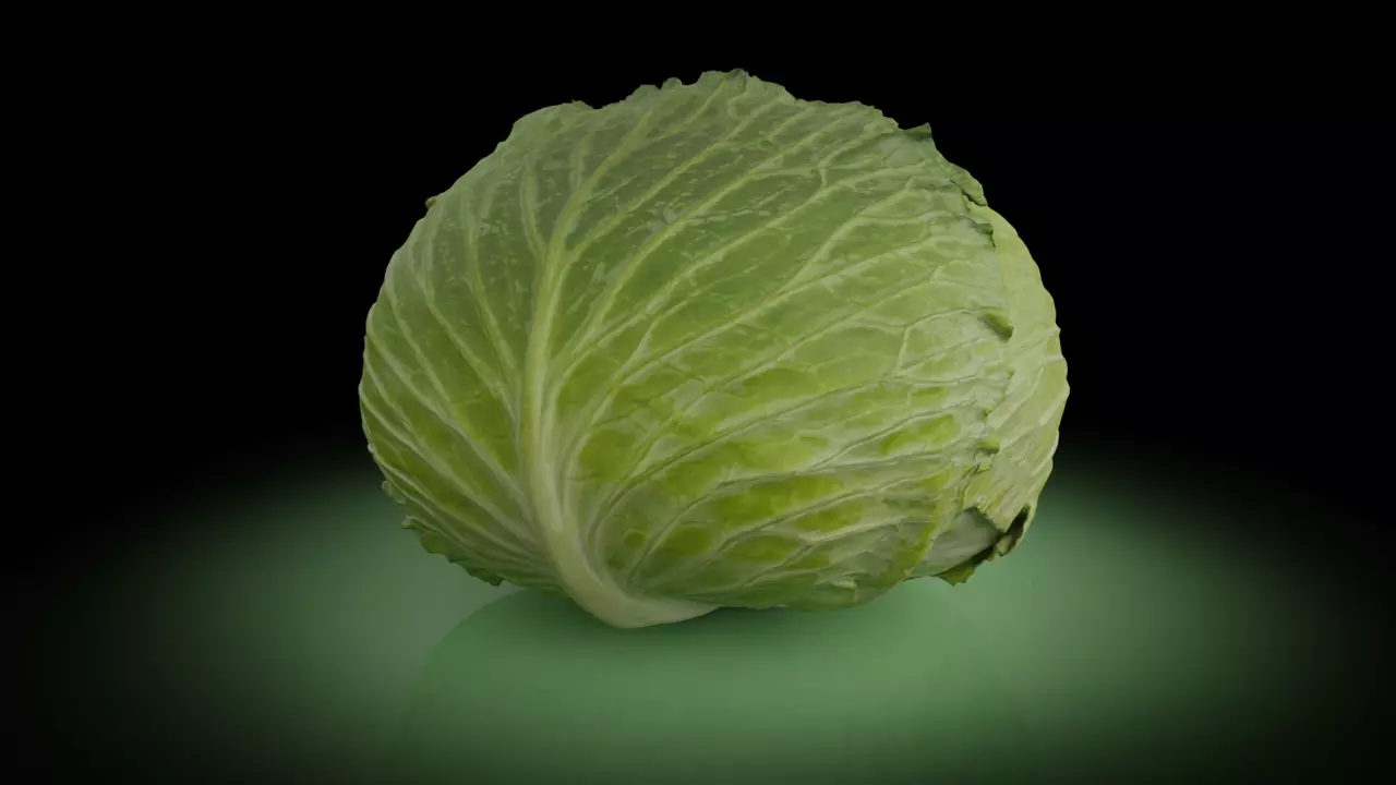 Cabbage 3D model Low-poly 3D model_0
