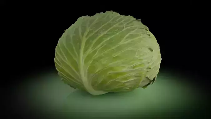 Cabbage 3D model