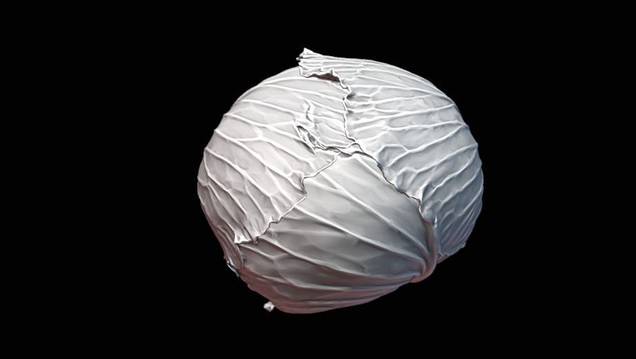Cabbage 3D model Low-poly 3D model_9