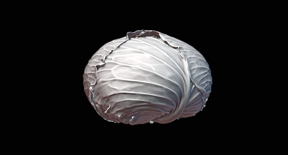 Cabbage 3D model Low-poly 3D model_5