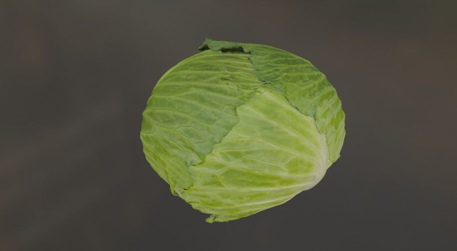 Cabbage 3D model Low-poly 3D model_8