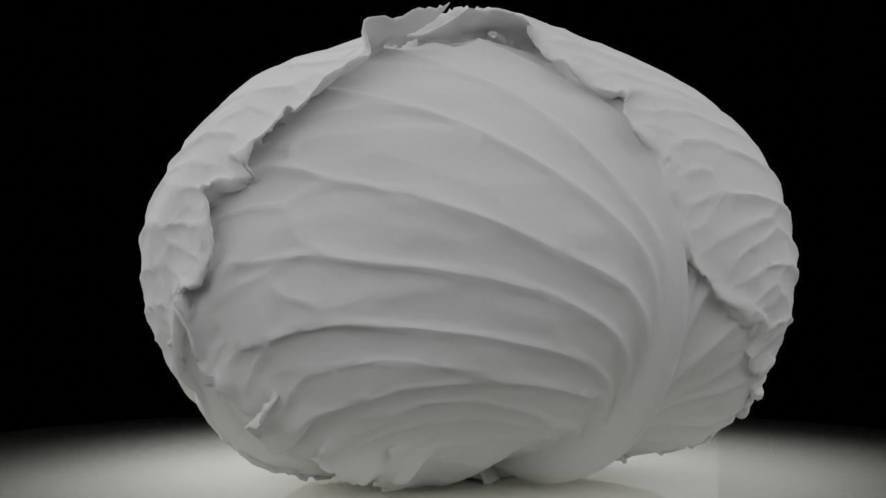 Cabbage 3D model Low-poly 3D model_4