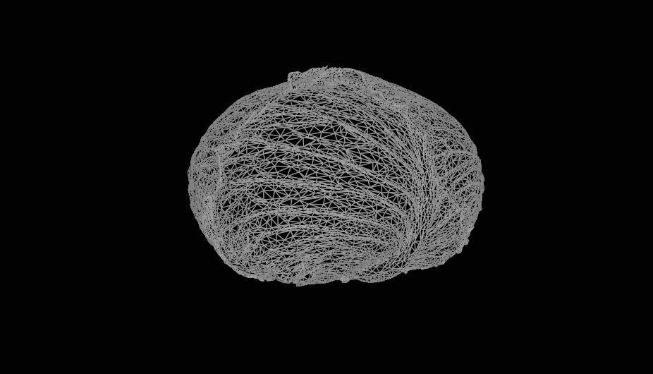 Cabbage 3D model Low-poly 3D model_6