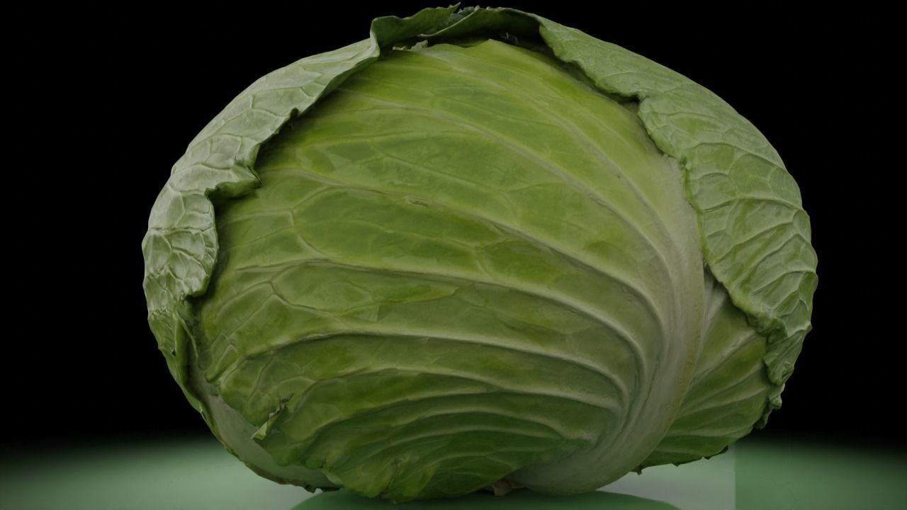 Cabbage 3D model Low-poly 3D model_3