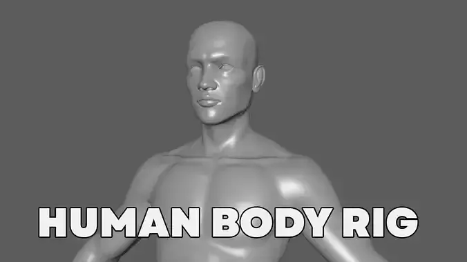 HUMAN BODY RIG 3D model
