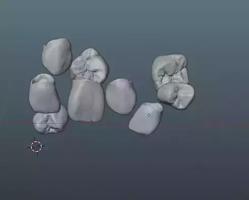 Anatomically shaped teeth