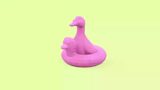Duck in Inflatable Duckie Pool Float