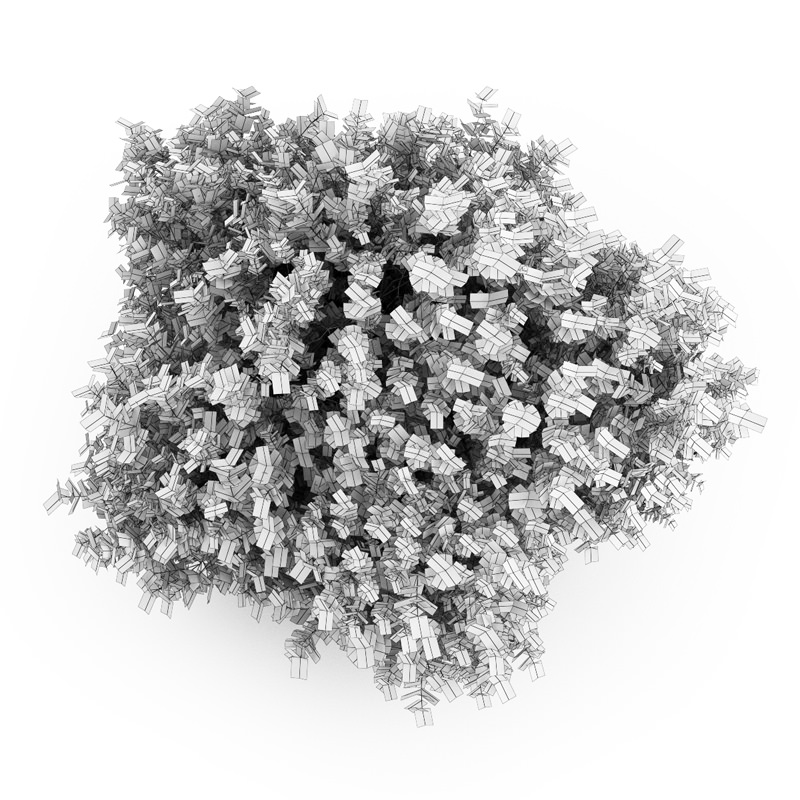 Bigleaf Hydrangea 3D model_2