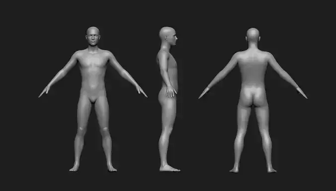 Male Base Mesh 3D print model