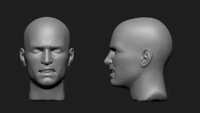 Male Head Base Mesh Angry Expression