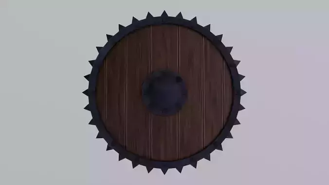 Medieval round wooden shield