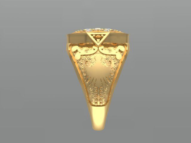Roseta Ring  3D print model_1