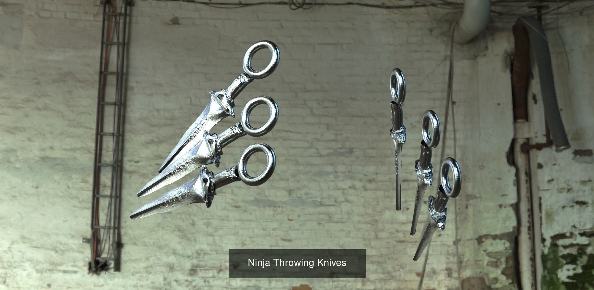 Ninja Warrior Collection 1 _3