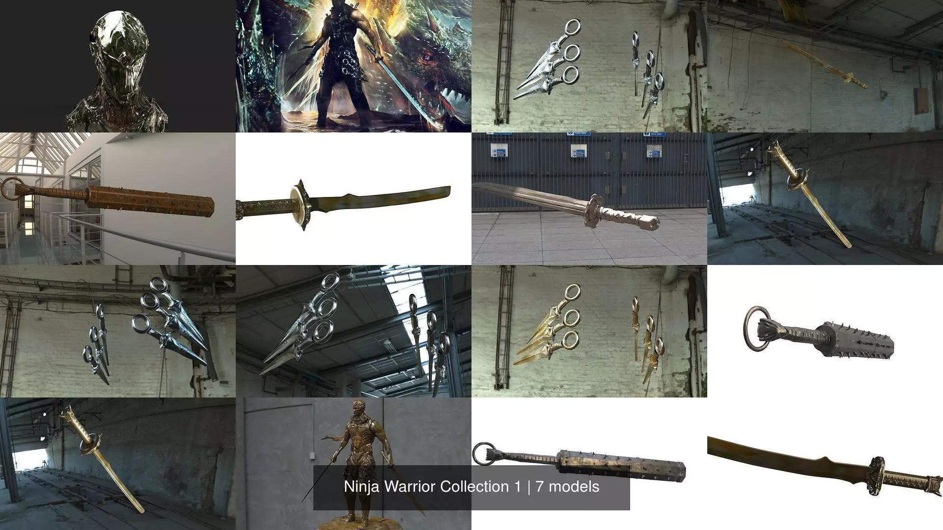 Ninja Warrior Collection 1 _0