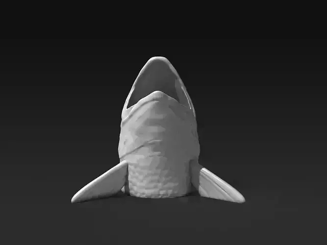 Fish Head 3D print model
