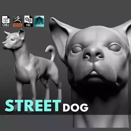 Street Dog  3D model