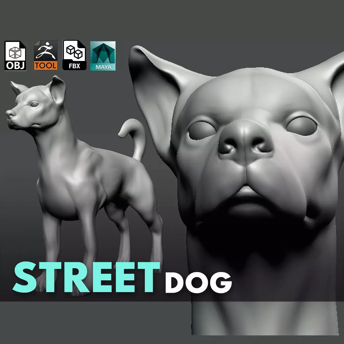 Street Dog  3D model_0