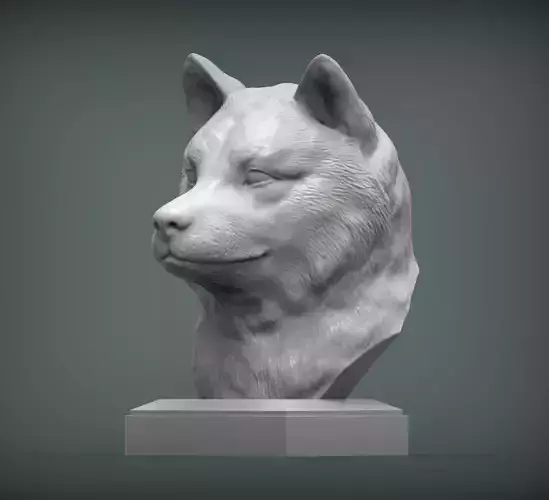 Shiba inu  bust