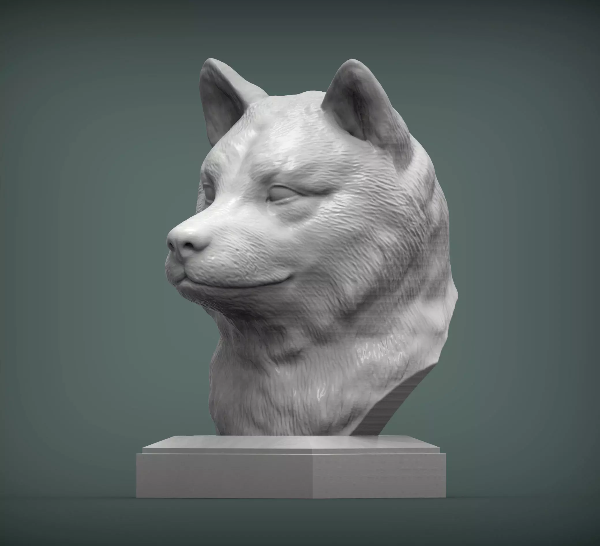 Shiba inu bust 3D print model