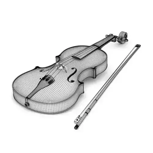 Violin