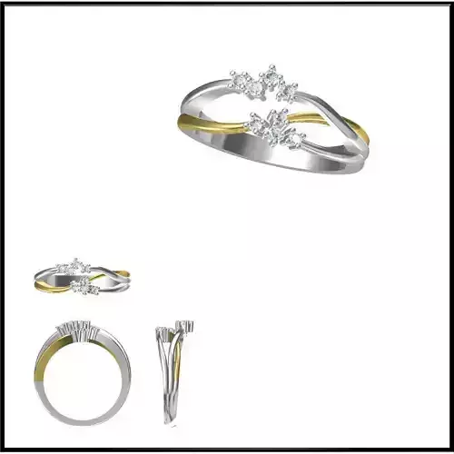 Twelve CAD files of Fancy designs of Rings