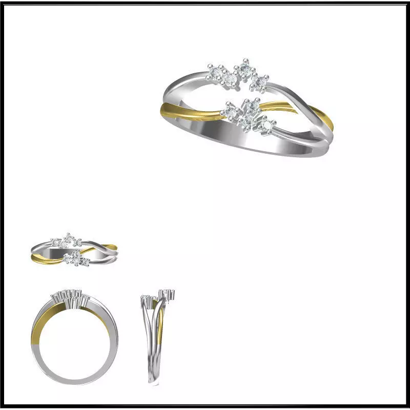 Twelve CAD files of Fancy designs of Rings 3D print model